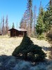 photo thumbnail #12