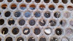 photo thumbnail #9