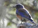 photo thumbnail #15