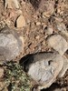 photo thumbnail #12