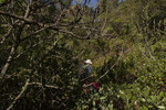 photo thumbnail #10