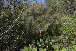 photo thumbnail #11