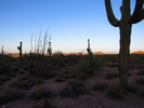 photo thumbnail #1