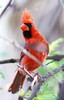 photo thumbnail #5