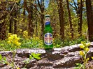 photo thumbnail #14