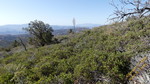 photo thumbnail #13