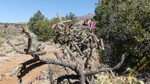 photo thumbnail #11