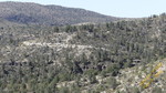 photo thumbnail #14