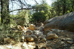 photo thumbnail #8