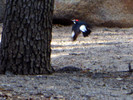photo thumbnail #4