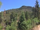 photo thumbnail #7