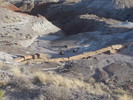 photo thumbnail #5