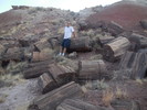 photo thumbnail #8