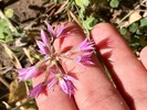 photo thumbnail #8