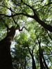 photo thumbnail #10