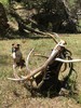 photo thumbnail #5