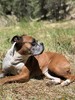 photo thumbnail #3