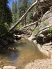 photo thumbnail #2