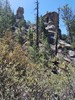 photo thumbnail #13