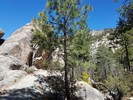 photo thumbnail #3