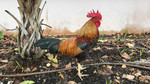 photo thumbnail #3