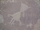 photo thumbnail #12
