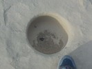 photo thumbnail #13