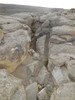 photo thumbnail #14