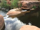 photo thumbnail #11