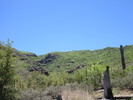 photo thumbnail #2
