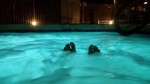 photo thumbnail #14