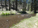 photo thumbnail #9