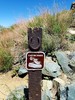 photo thumbnail #10