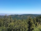 photo thumbnail #14