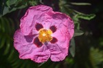 photo thumbnail #8