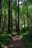 photo thumbnail #11