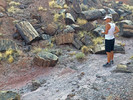 photo thumbnail #3