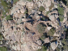 recent photo