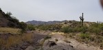 photo thumbnail #7