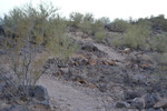 photo thumbnail #7