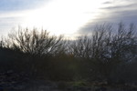 photo thumbnail #12