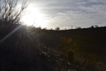 photo thumbnail #14