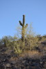 photo thumbnail #15
