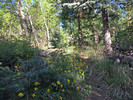 photo thumbnail #2