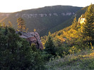 photo thumbnail #2