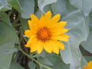photo thumbnail #2