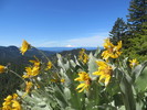 photo thumbnail #11