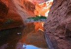 photo thumbnail #9