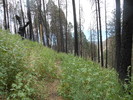 photo thumbnail #8