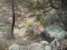 photo thumbnail #9